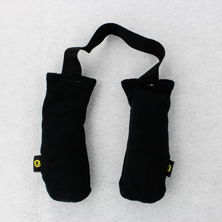 Sports Shoes Deodorizer Bag
